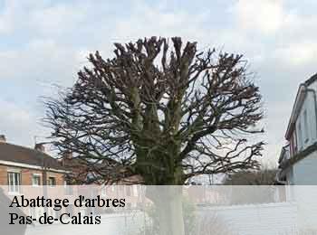 Abattage d'arbres Pas-de-Calais