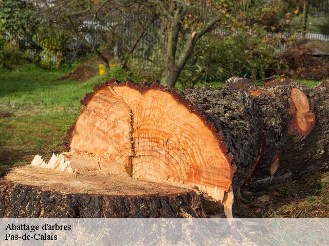 Abattage d'arbres Pas-de-Calais 