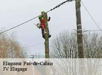 Elagueur Pas-de-Calais