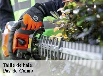 Taille de haie Pas-de-Calais 