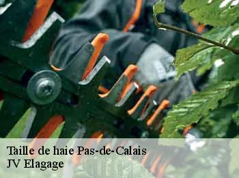 Taille de haie Pas-de-Calais 