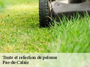 Tonte et refection de pelouse Pas-de-Calais