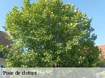 Pose de cloture 62161