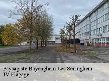 Paysagiste  bayenghem-les-seninghem-62380 JV Elagage