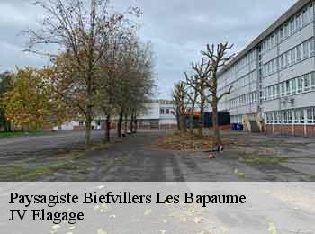 Paysagiste  biefvillers-les-bapaume-62450 JV Elagage