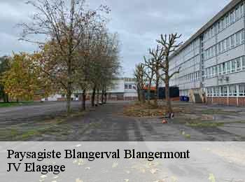 Paysagiste blangerval-blangermont-62270 JV Elagage