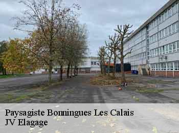 Paysagiste bonningues-les-calais-62340 JV Elagage