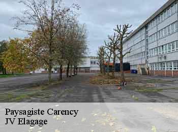 Paysagiste carency-62144 JV Elagage
