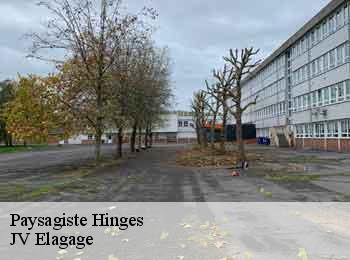 Paysagiste hinges-62232 JV Elagage