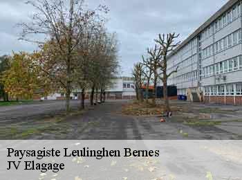 Paysagiste leulinghen-bernes-62250 JV Elagage