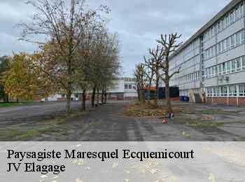 Paysagiste maresquel-ecquemicourt-62990 JV Elagage