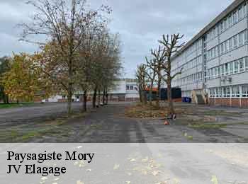 Paysagiste mory-62159 JV Elagage