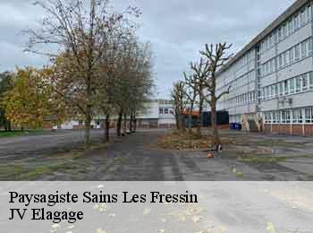 Paysagiste sains-les-fressin-62310 JV Elagage