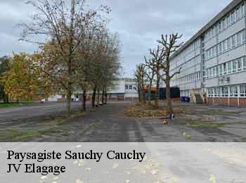 Paysagiste sauchy-cauchy-62860 JV Elagage