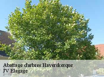 Abattage d'arbres