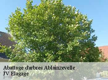 Abattage d'arbres
