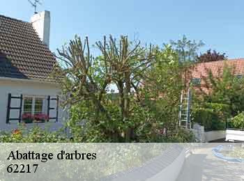 Abattage d'arbres