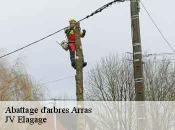 Abattage d'arbres  62000