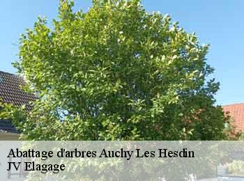 Abattage d'arbres