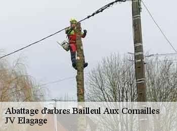 Abattage d'arbres 62127