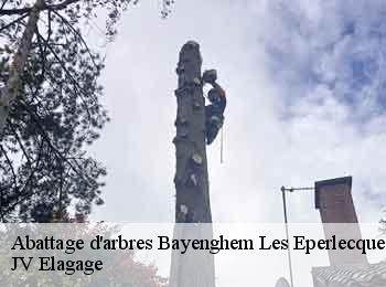Abattage d'arbres  bayenghem-les-eperlecques-62910 JV Elagage