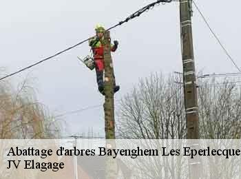 Abattage d'arbres  62910