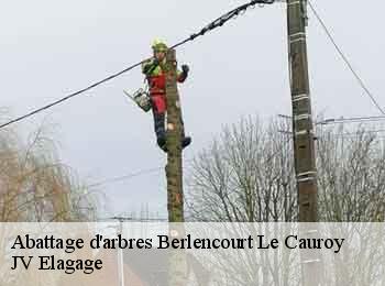 Abattage d'arbres 62810