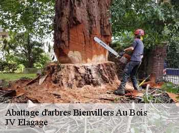 Abattage d'arbres