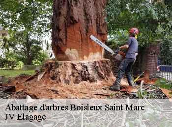 Abattage d'arbres