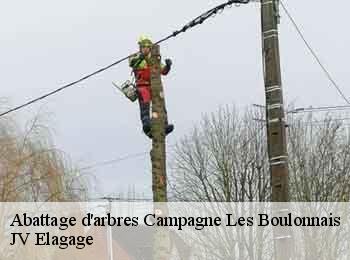 Abattage d'arbres 62650