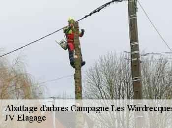 Abattage d'arbres  62120