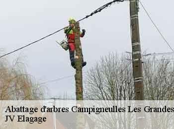 Abattage d'arbres  62170