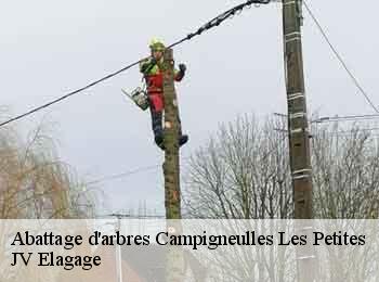 Abattage d'arbres  62170