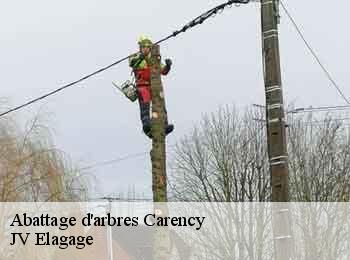 Abattage d'arbres 62144