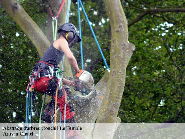 Abattage d'arbres  conchil-le-temple-62180 Artisan Chatel