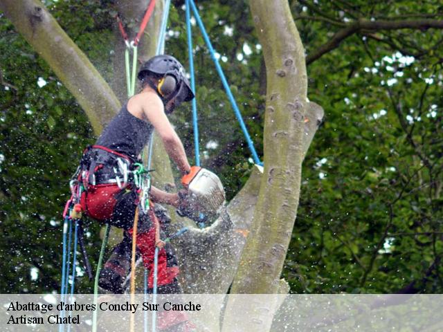 Abattage d'arbres  conchy-sur-canche-62270 Artisan Chatel