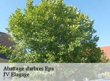 Abattage d'arbres