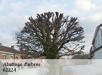 Abattage d'arbres 62224