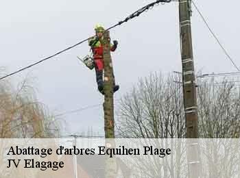 Abattage d'arbres 62224