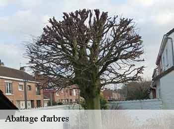 Abattage d'arbres  62880