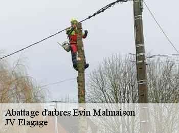 Abattage d'arbres  62141