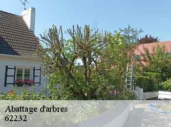 Abattage d'arbres