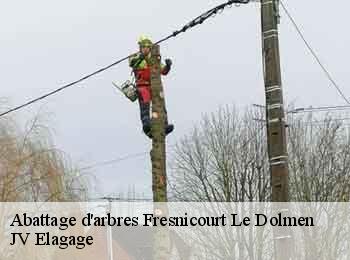 Abattage d'arbres 62150