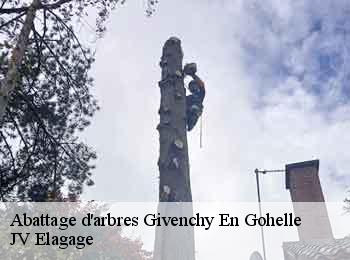 Abattage d'arbres givenchy-en-gohelle-62580 JV Elagage