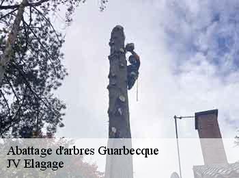 Abattage d'arbres guarbecque-62330 JV Elagage
