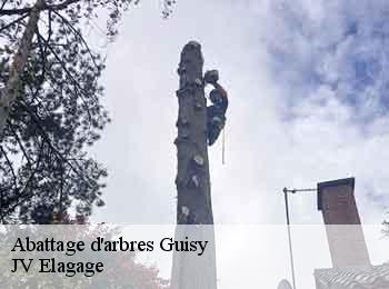 Abattage d'arbres guisy-62140 JV Elagage