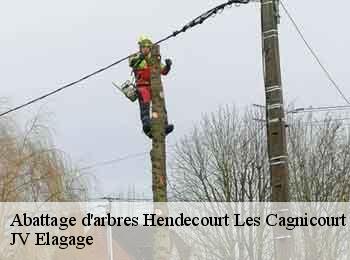 Abattage d'arbres 62182