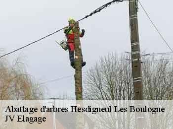 Abattage d'arbres 62360