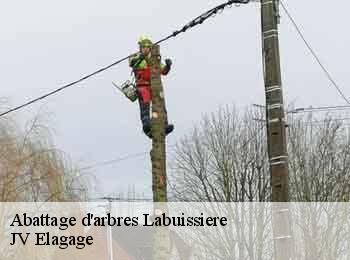 Abattage d'arbres 62700
