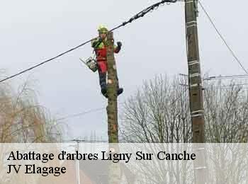 Abattage d'arbres 62270